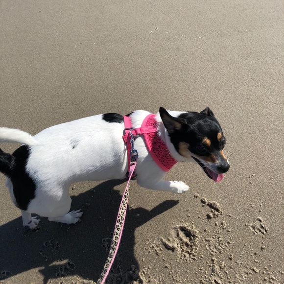 Meet your Posher, Tanya - Picture 2 of 8